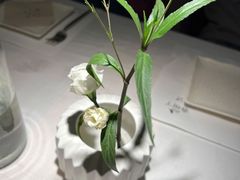 -春树下·树屋花房西餐厅(罍街AS1980店)