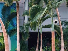 -北京植物园-展览温室