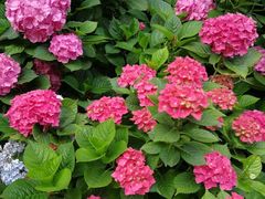 -常州古运河南大街文化旅游区-人民公园