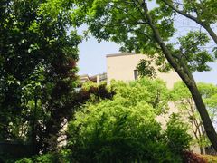 -上海崇明金茂凯悦酒店