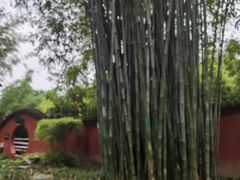 -望江楼公园