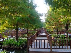 -五缘湾湿地公园