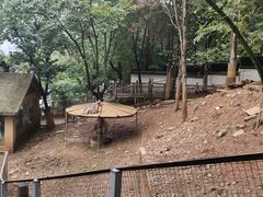 -昆明动物园