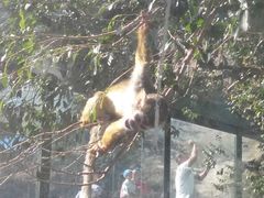 -新疆天山野生动物园