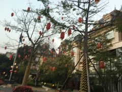 -中旅阿那亚九龙湖·公主酒店