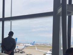 -广州白云国际机场-T2航站楼