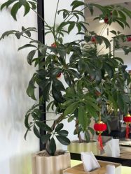 -LJOY丽锦造型·烫发染发