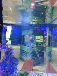 -酷嗒动物文化乐园(cutezoo西溪乐天城店)