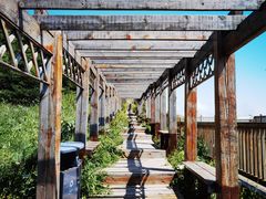 -白草畔自然风景区