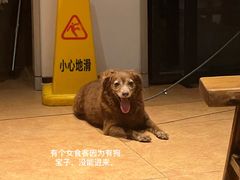 -木屋烧烤(南新店)