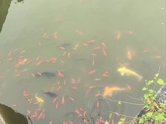 -清西陵