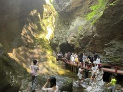 -牛背梁国家森林公园