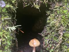-苍山感通索道