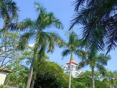 -厦门大学(思明校区)