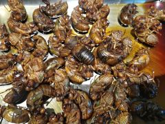 -汉丽斯巴西烤肉自助(市南店)