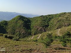 -阳台山自然风景区