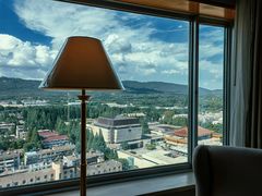 -南京维景国际大酒店(南京博物院店)