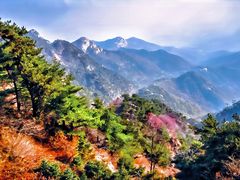 -泰山风景名胜区