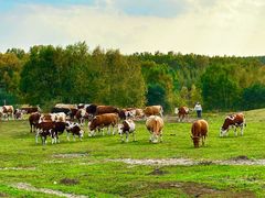 -塞罕坝国家级自然保护区