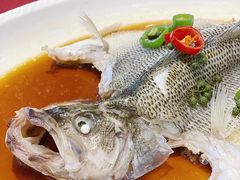 清蒸鲈鱼-湛江菜.江南首席(昆山店)