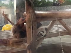 -西安秦岭野生动物园