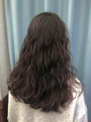 -YESIDO椰岛造型