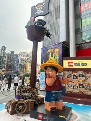 -乐高品牌旗舰店(人民广场店)