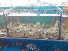 -百丰园海鲜烧烤农家菜(威·至海港湾店)