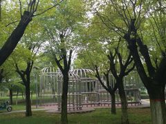 -洨河生态公园
