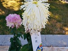 -国家植物园
