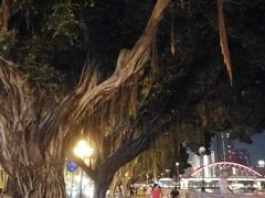 -珠江夜游省总码头