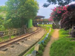 -武汉紫薇都市田园