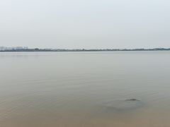 -瑶湖郊野森林公园