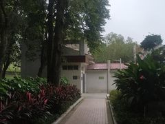 -紫马岭公园