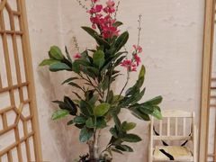 -琼菜王(南海店)