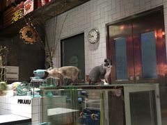 -MIKAKU(万达广场上海宝山店)