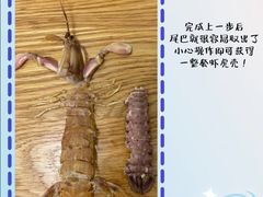 -沃尔玛(摩尔广场店)