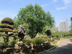 -汉水公园