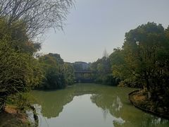 -八大山人梅湖景区