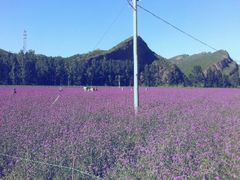 -乌龙峡谷景区