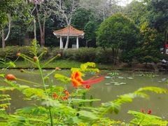 -火炉山森林公园