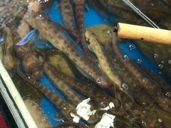 -旺角小渔村·海肠捞饭开创者(环山路店)