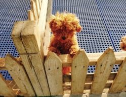 -萌宠亲子动物乐园(槐房万达店)