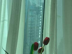 -红顶食府(滨湖九号店)