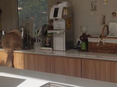 -灯塔咖啡馆BOOK·Coffee Shop
