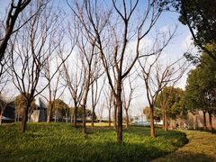 -上海山野camping·户外天幕烧烤·团建拓展营地