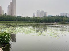 -前关湿地公园