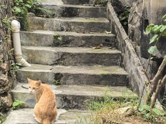 -东沙渔村