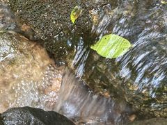 -素山寺森林公园