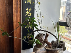 -道南書院·私房菜·早午茶·茶馆